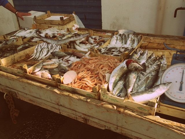 Fresh fish at the Trapani fish market