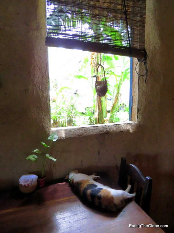 Cafe DinDee Chiang Mai