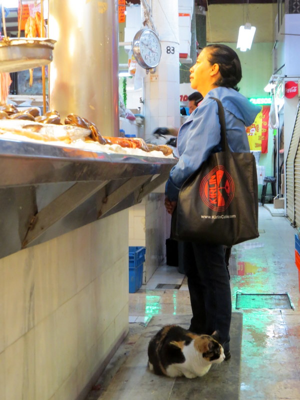 San Juan Market Mexico City