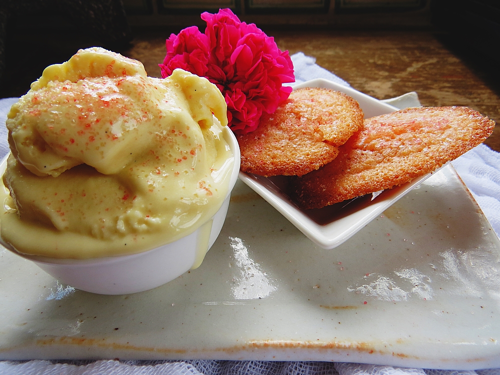 Where I Find The Best Ice Cream Recipes