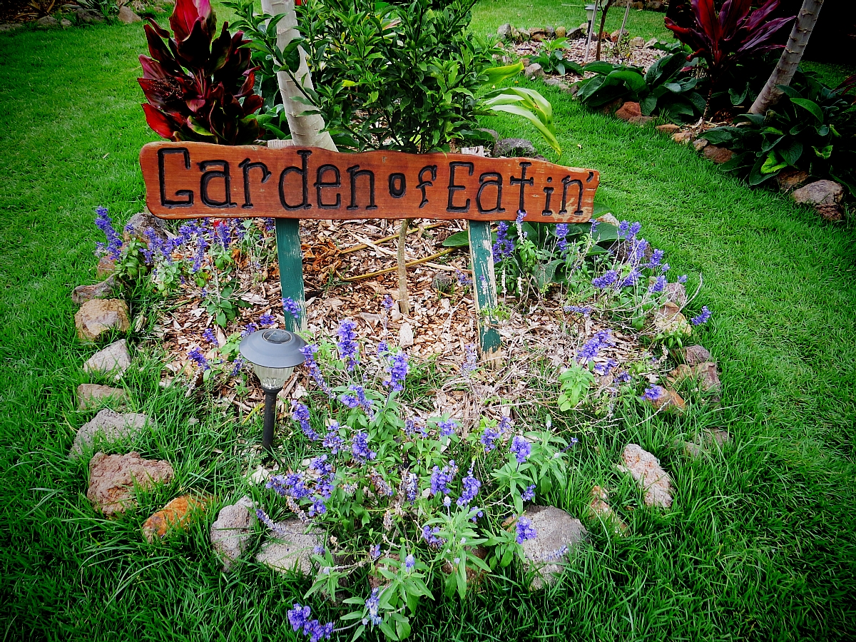 Vegetarian Restaurants Oahu: Ai Love Nalo