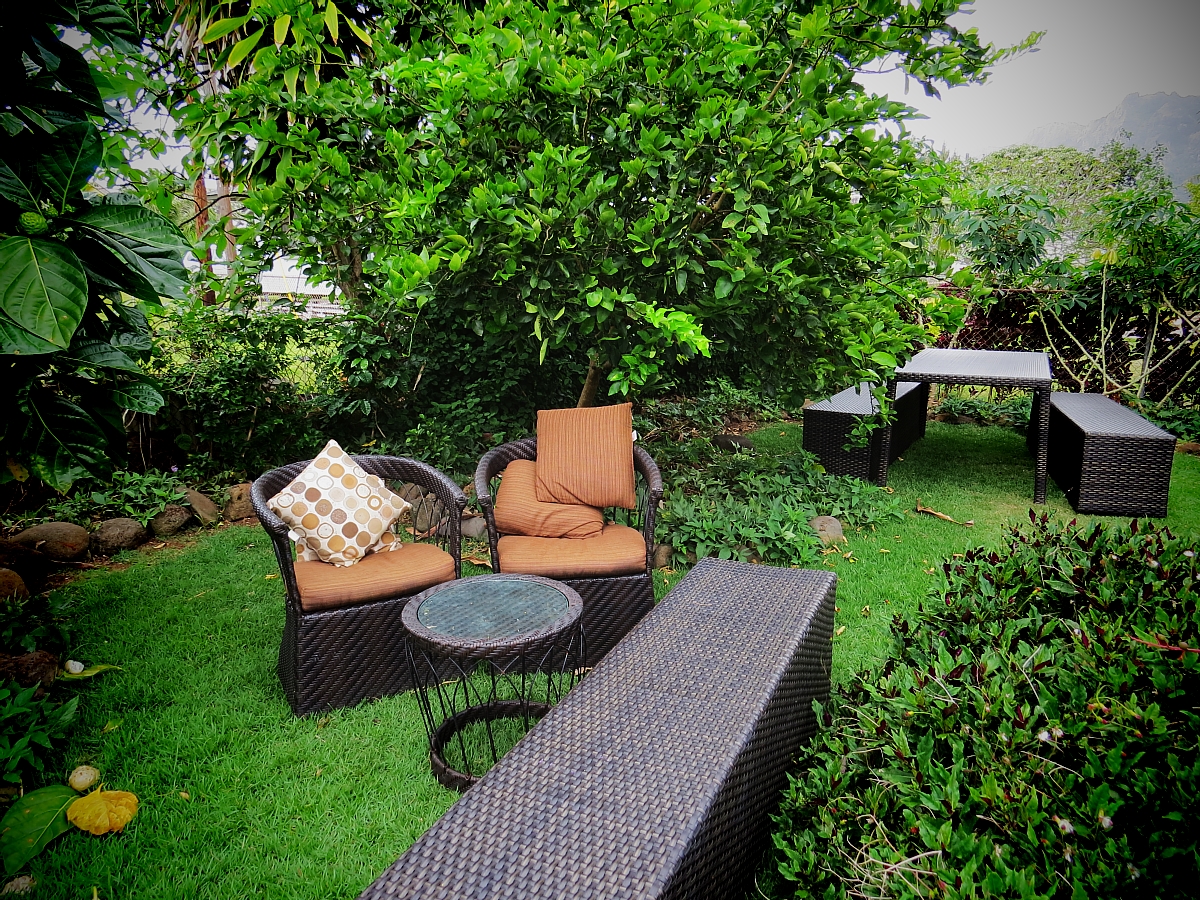 Vegetarian Restaurants Oahu: Ai Love Nalo