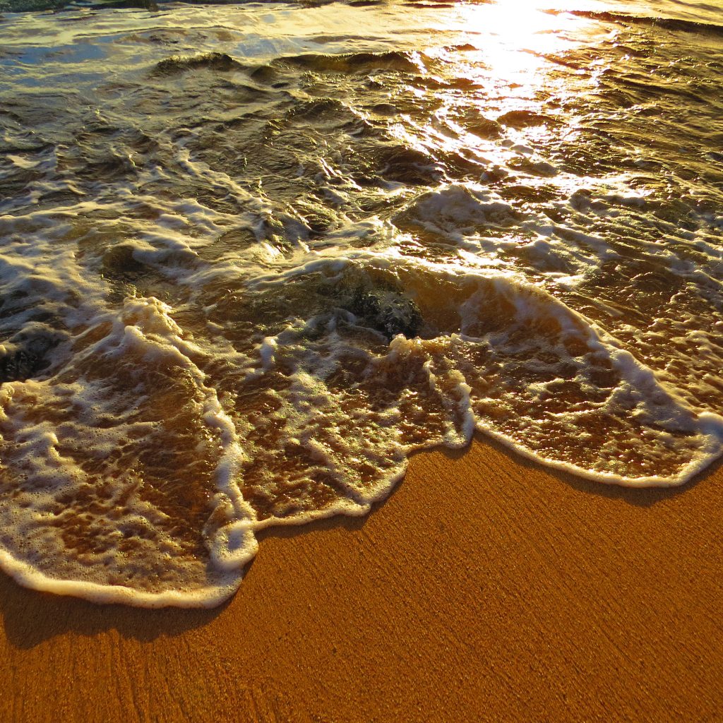 The Essential Guide To The "Must Eat At" Food And Restaurants In Kauai