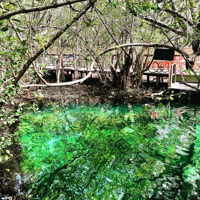 The Best Restaurants In Tulum