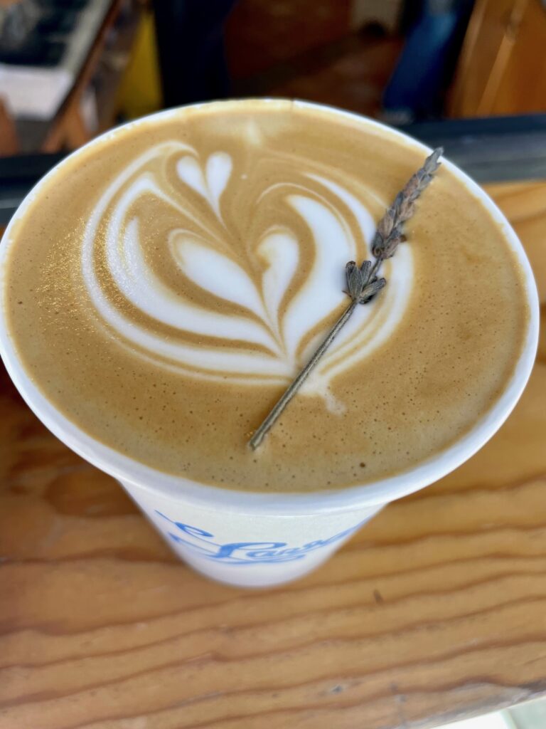 Lavanda San Miguel de Allende